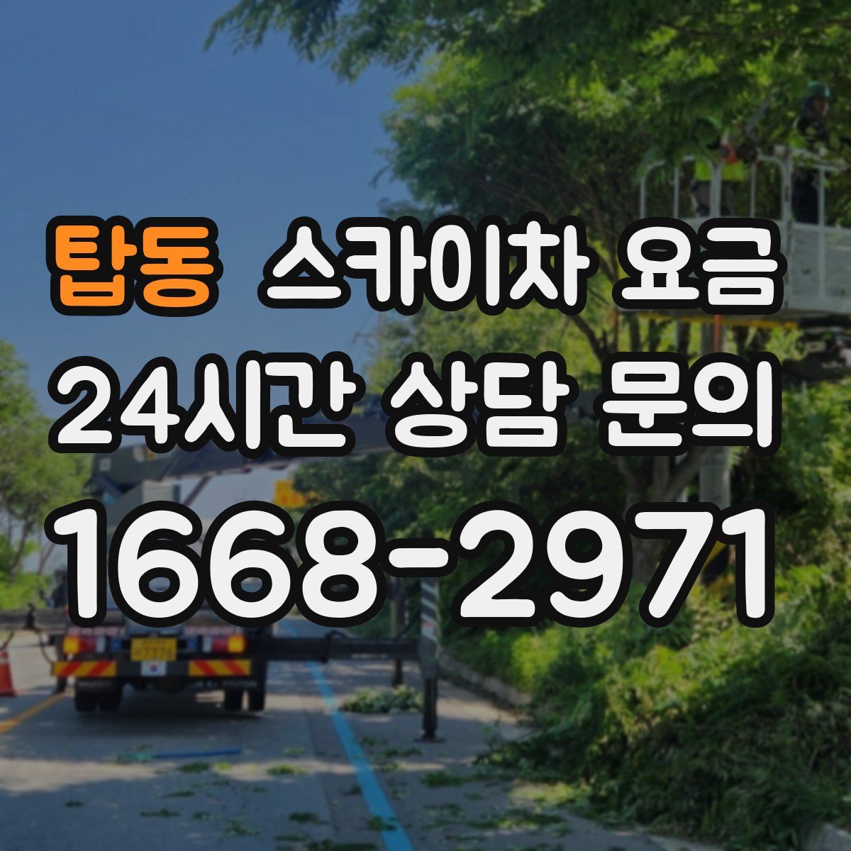 탑동 스카이차 요금