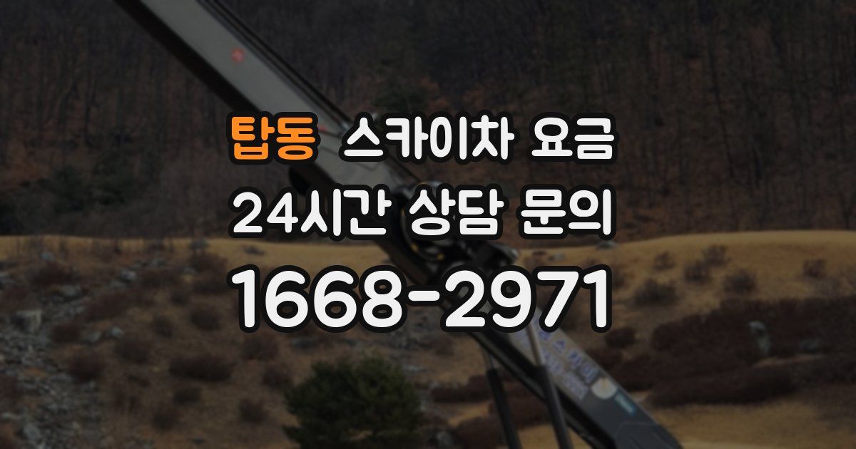 탑동 스카이차 요금