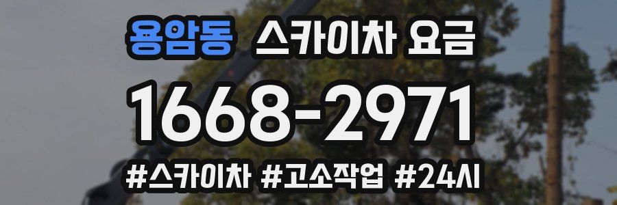 용암동 스카이차 요금