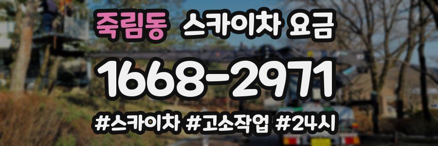 죽림동 스카이차 요금