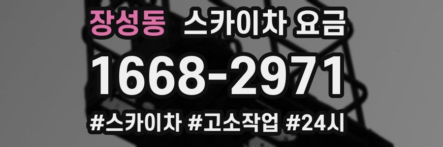 장성동 스카이차 요금
