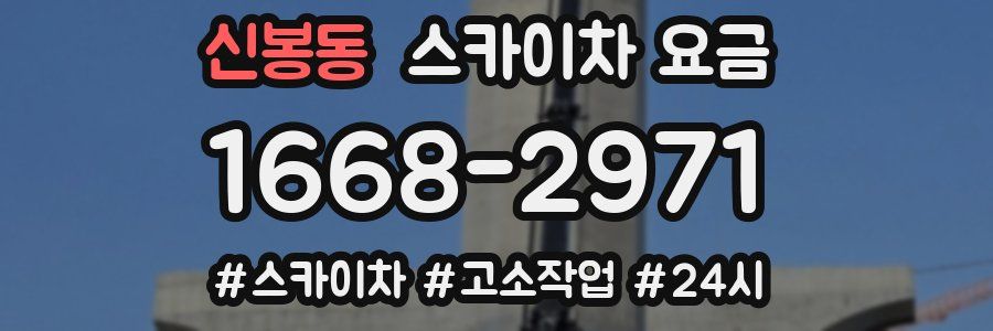 신봉동 스카이차 요금