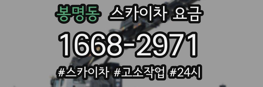 봉명동 스카이차 요금