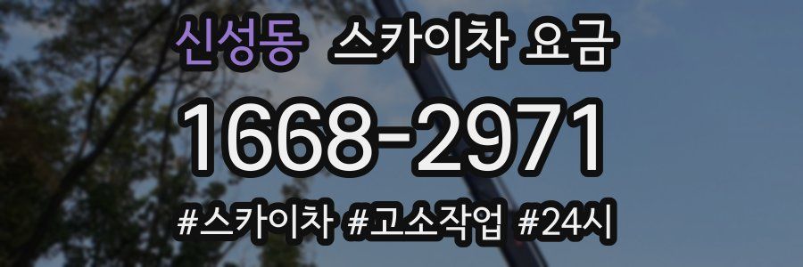 신성동 스카이차 요금