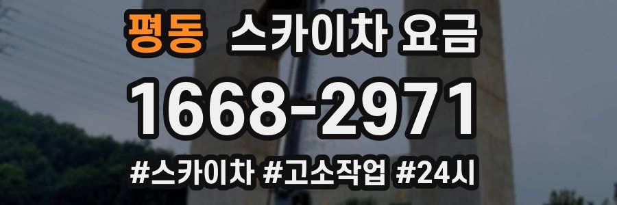 평동 스카이차 요금