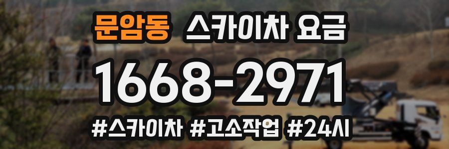 문암동 스카이차 요금
