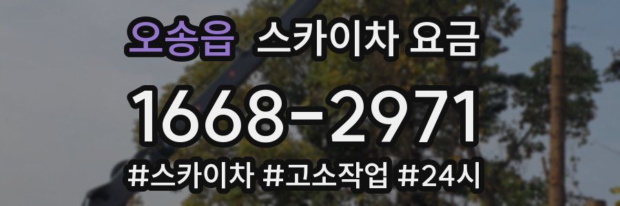 오송읍 스카이차 요금