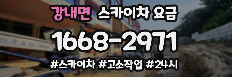 강내면 스카이차 요금