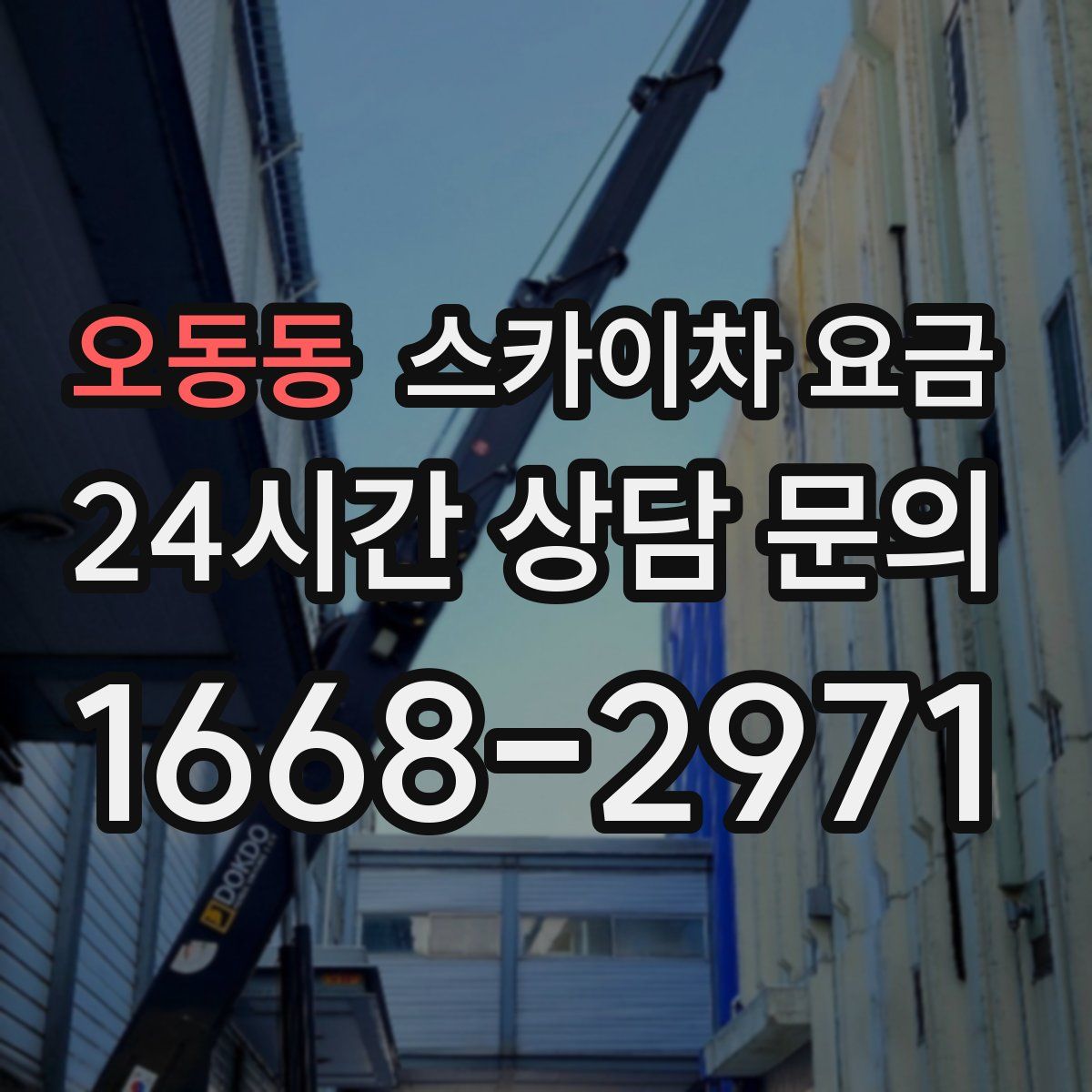오동동 스카이차 요금