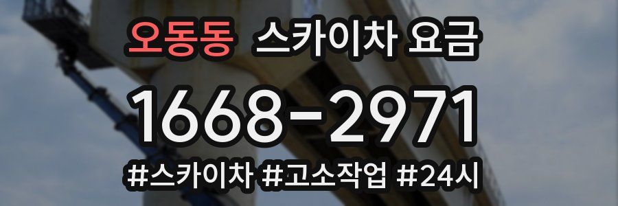 오동동 스카이차 요금