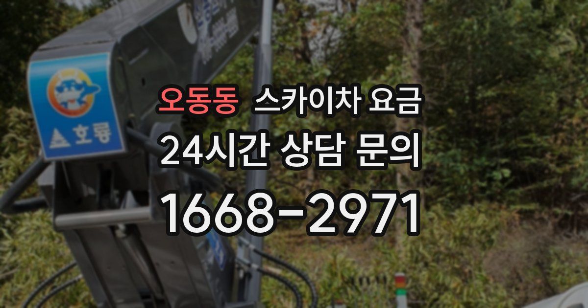 오동동 스카이차 요금
