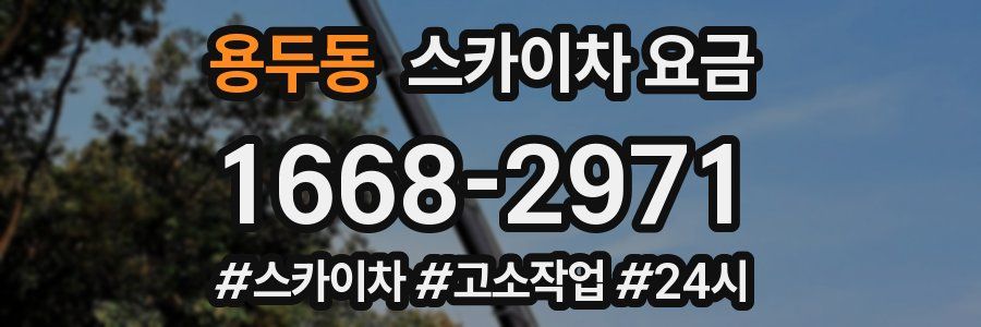 용두동 스카이차 요금