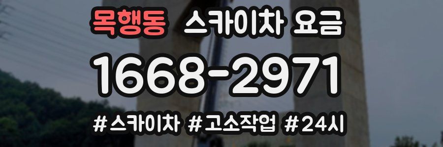 목행동 스카이차 요금