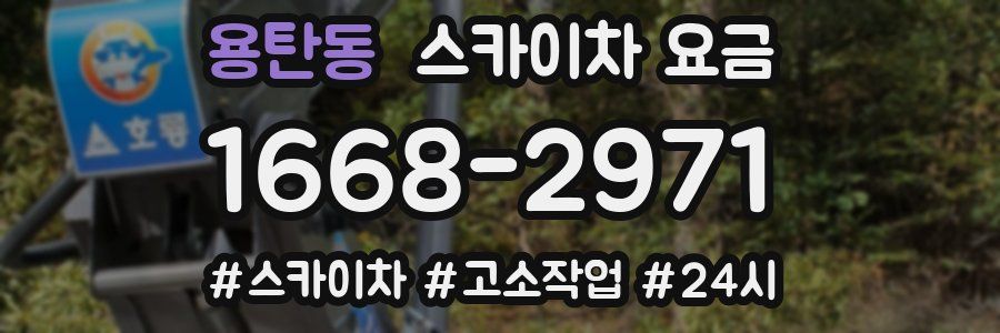 용탄동 스카이차 요금
