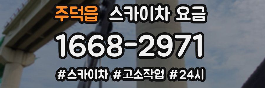 주덕읍 스카이차 요금