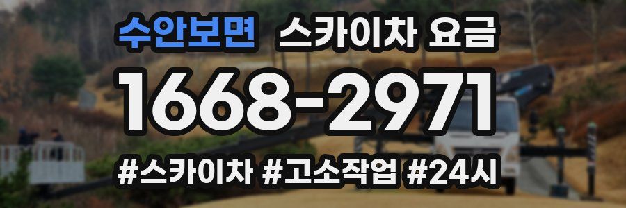 수안보면 스카이차 요금