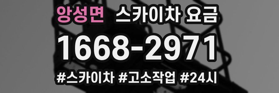 앙성면 스카이차 요금