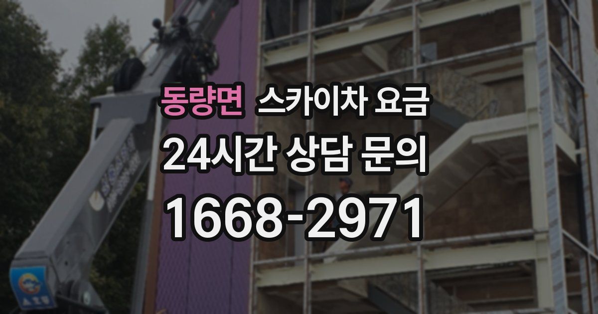 동량면 스카이차 요금
