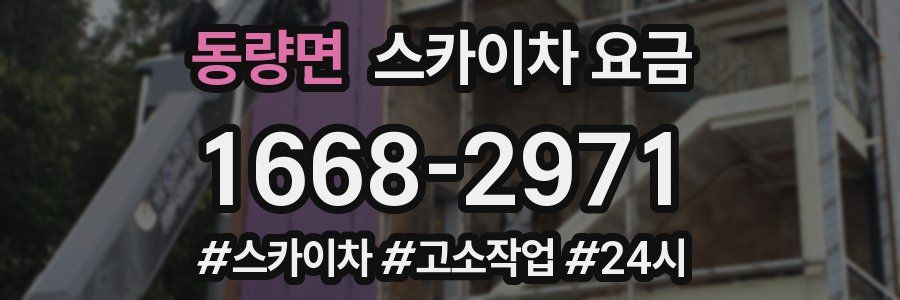 동량면 스카이차 요금
