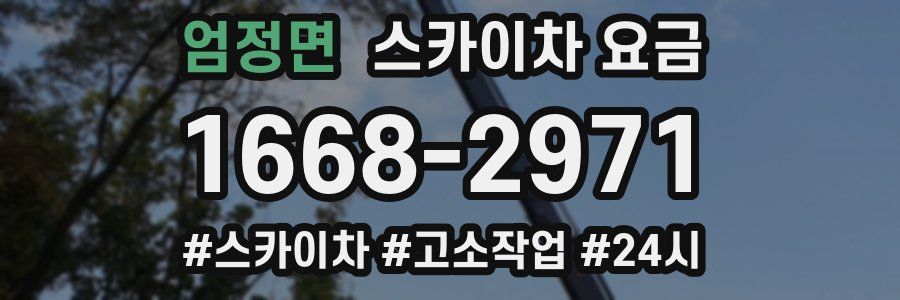 엄정면 스카이차 요금