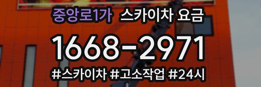 중앙로1가 스카이차 요금