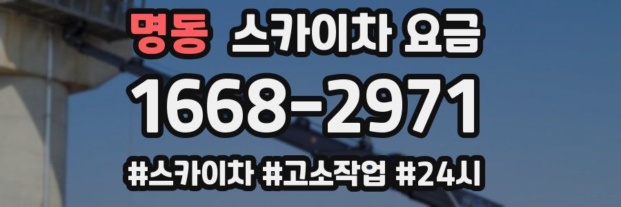 명동 스카이차 요금