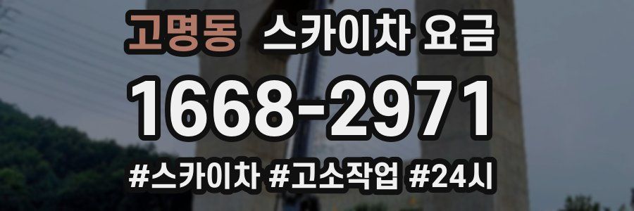 고명동 스카이차 요금