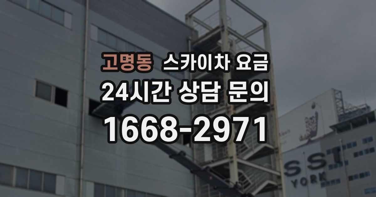 고명동 스카이차 요금