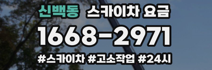 신백동 스카이차 요금