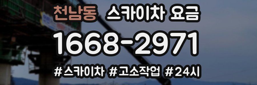 천남동 스카이차 요금