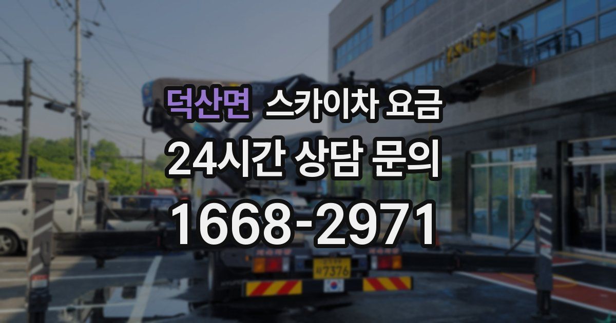 덕산면 스카이차 요금