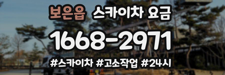 보은읍 스카이차 요금