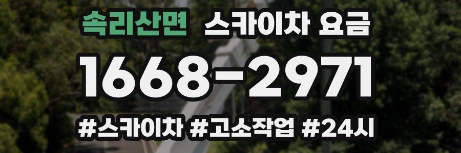 속리산면 스카이차 요금