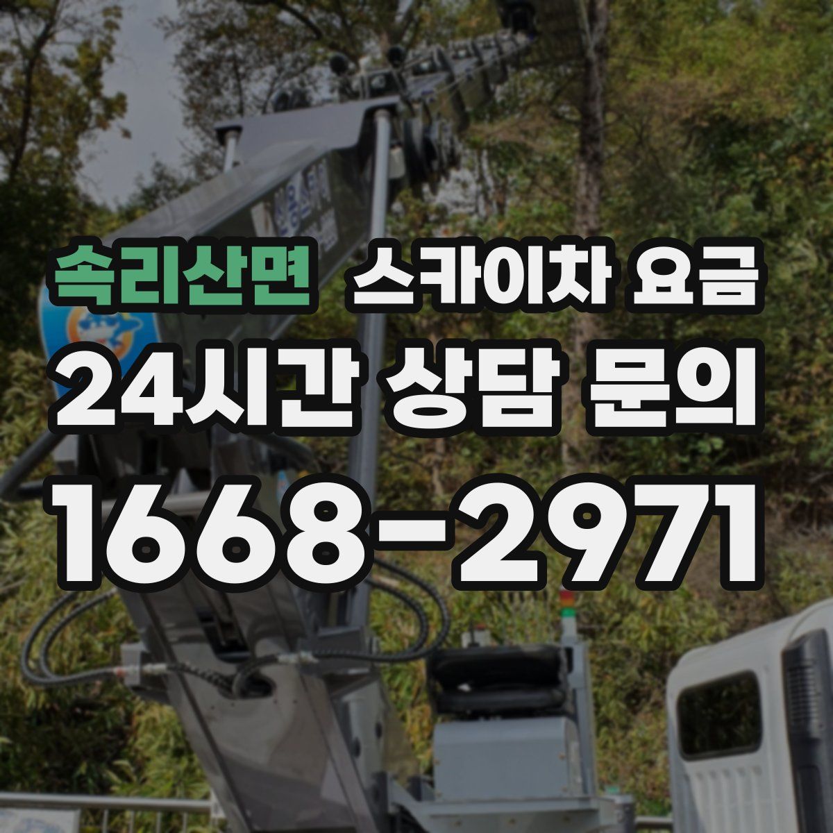 속리산면 스카이차 요금