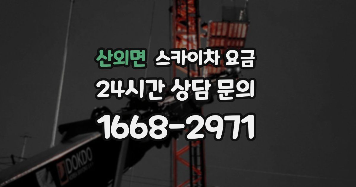 산외면 스카이차 요금