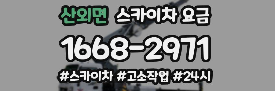 산외면 스카이차 요금