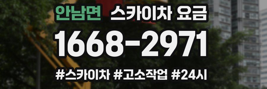 안남면 스카이차 요금