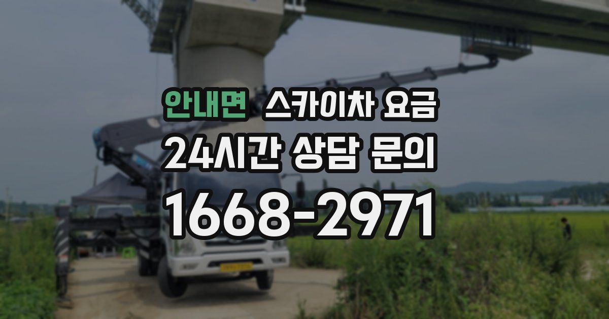 안내면 스카이차 요금