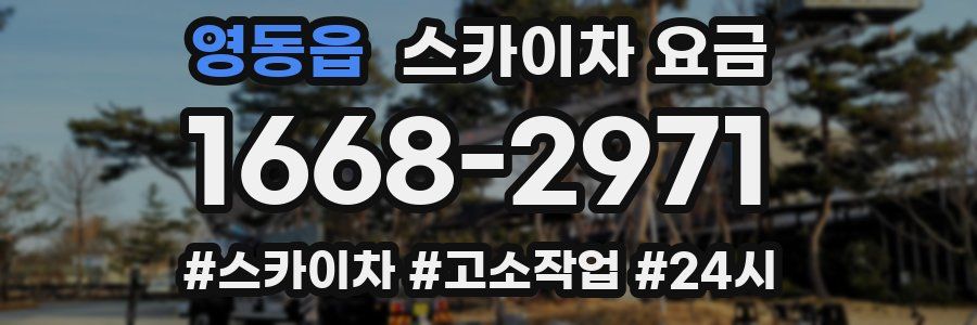 영동읍 스카이차 요금