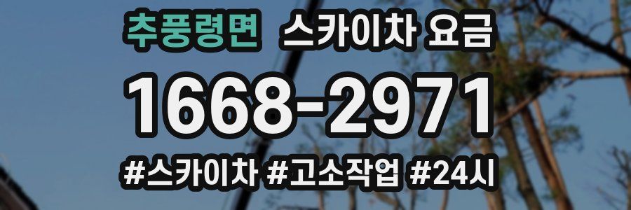 추풍령면 스카이차 요금