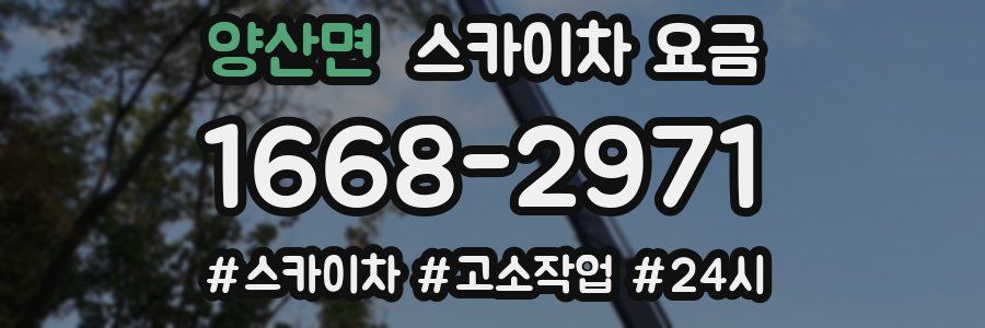 양산면 스카이차 요금