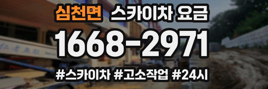 심천면 스카이차 요금