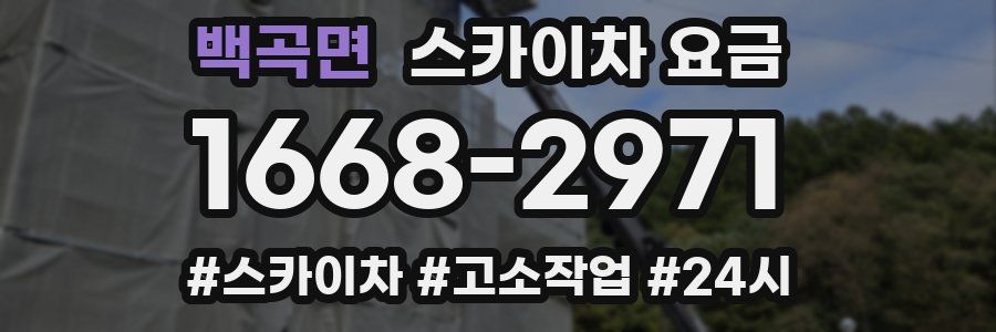 백곡면 스카이차 요금