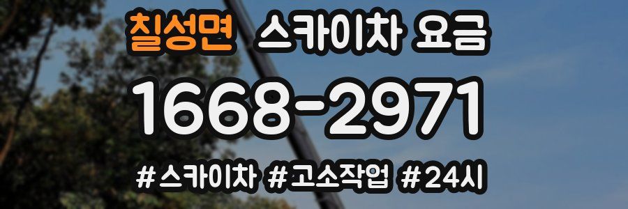 칠성면 스카이차 요금
