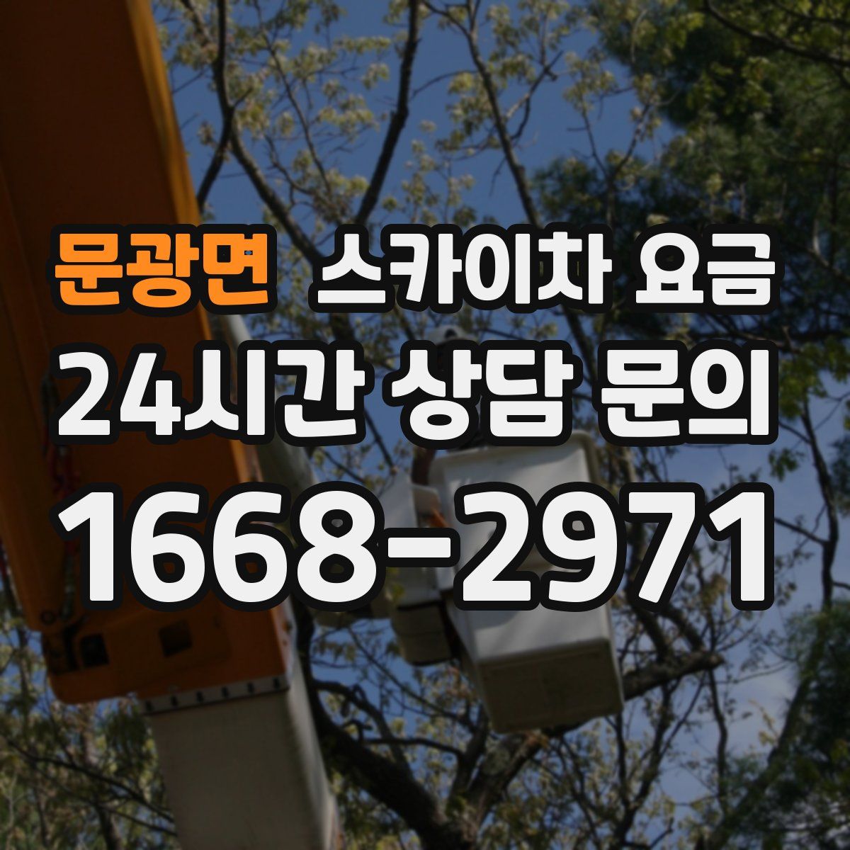 문광면 스카이차 요금
