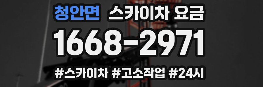 청안면 스카이차 요금