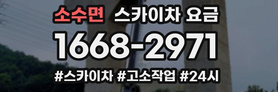 소수면 스카이차 요금