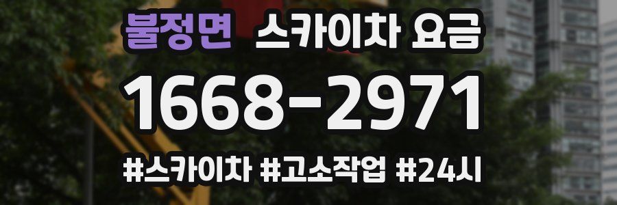 불정면 스카이차 요금