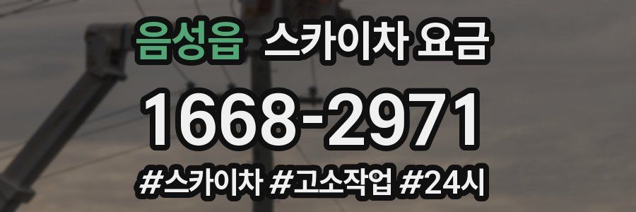 음성읍 스카이차 요금