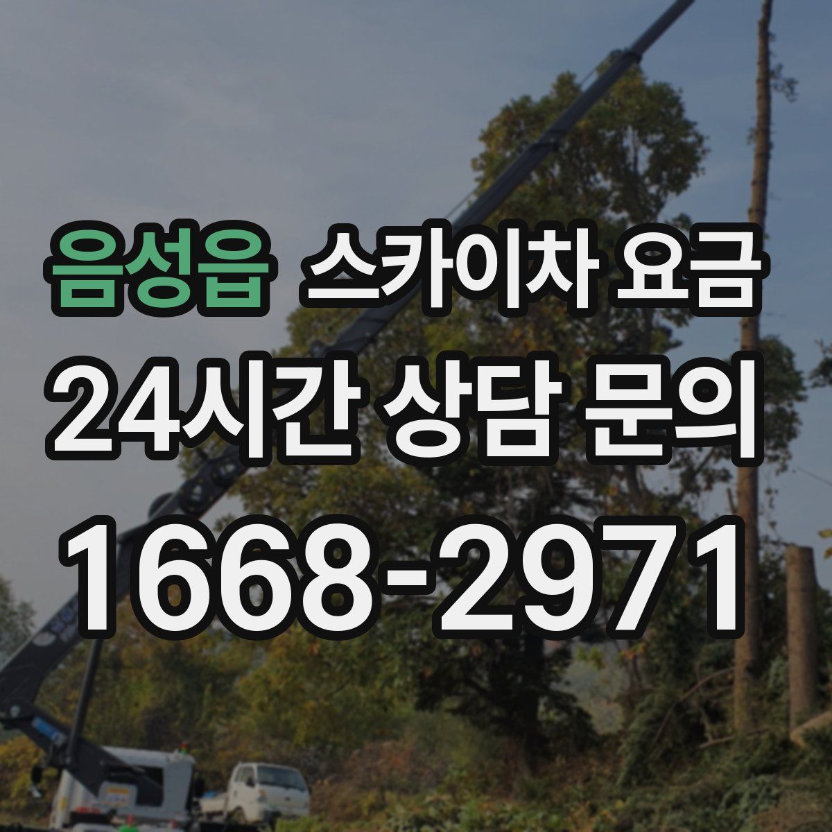 음성읍 스카이차 요금